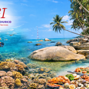 Tour Du Lịch Đảo Hòn Sơn - Nam Du 3N3D Ghép Đoàn tối thứ 5 hàng tuần