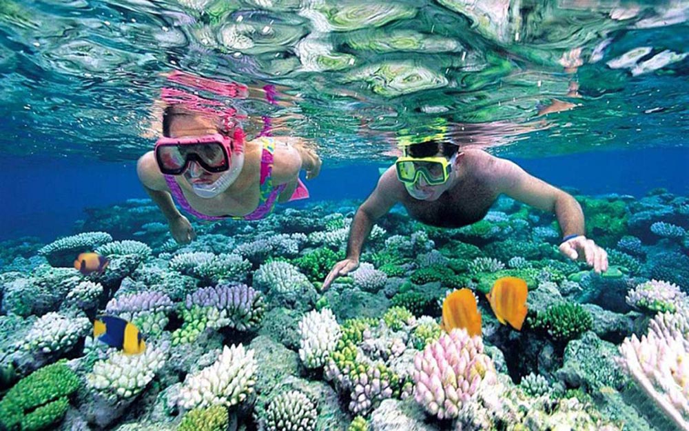 Tour Phú Quốc 3N3D Ghép Đoàn Thứ 5 Hằng Tuần - Ảnh 4