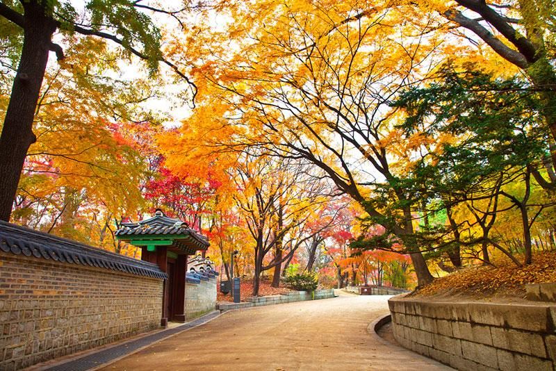 Tour Trung Quốc - Hàn Quốc: Liên tuyến Seoul - Thanh Đảo 7N7D - Ảnh 3
